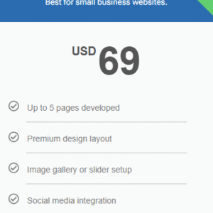 Web Development